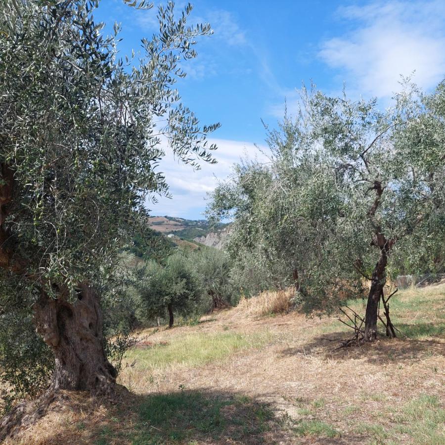 Villa Ferranti Abruzzo Montefino Exterior foto